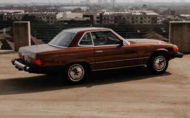 Mercedes-benz-Other-1978-Brown-18