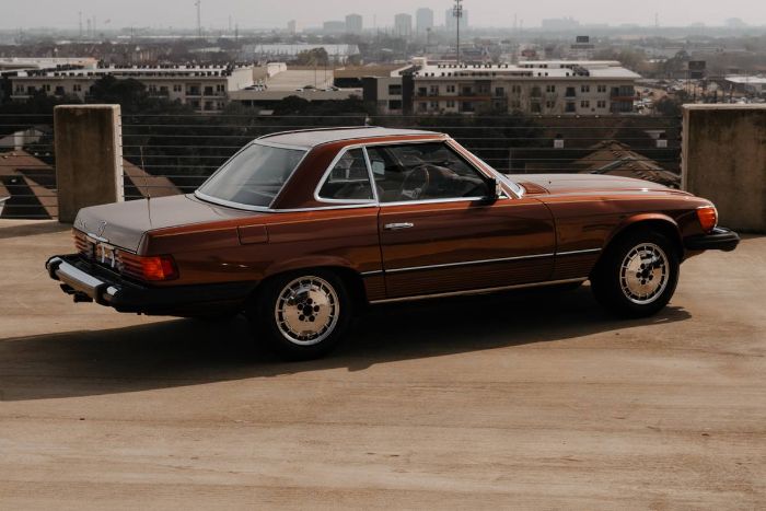 Mercedes-benz-Other-1978-Brown-18