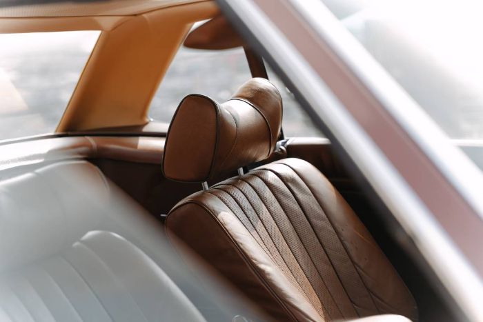 Mercedes-benz-Other-1978-Brown-19