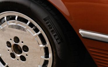 Mercedes-benz-Other-1978-Brown-2