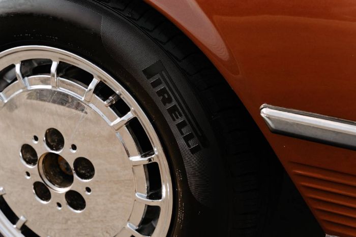 Mercedes-benz-Other-1978-Brown-2