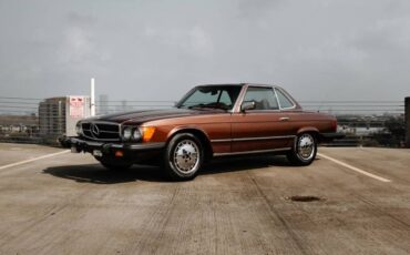 Mercedes-benz-Other-1978-Brown-20