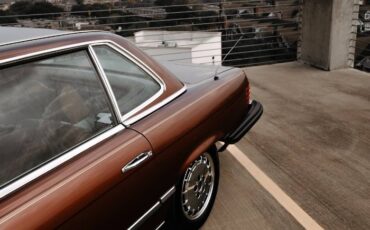 Mercedes-benz-Other-1978-Brown-21