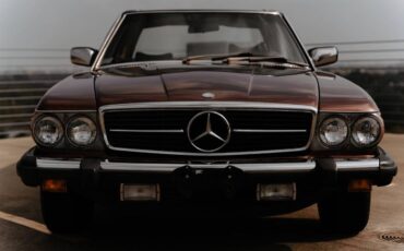Mercedes-benz-Other-1978-Brown-22
