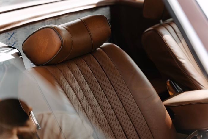 Mercedes-benz-Other-1978-Brown-23