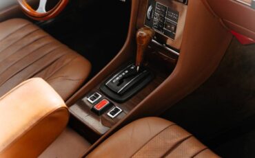 Mercedes-benz-Other-1978-Brown-3