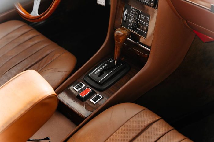 Mercedes-benz-Other-1978-Brown-3