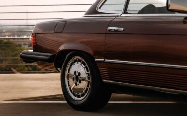 Mercedes-benz-Other-1978-Brown-4