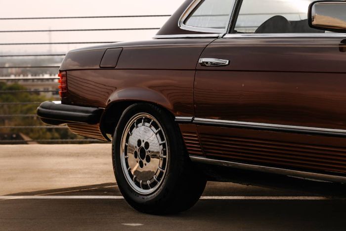 Mercedes-benz-Other-1978-Brown-4