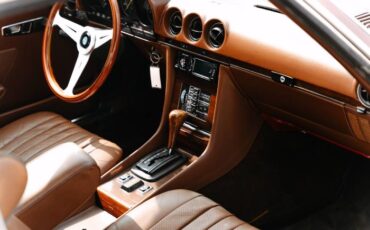 Mercedes-benz-Other-1978-Brown-5