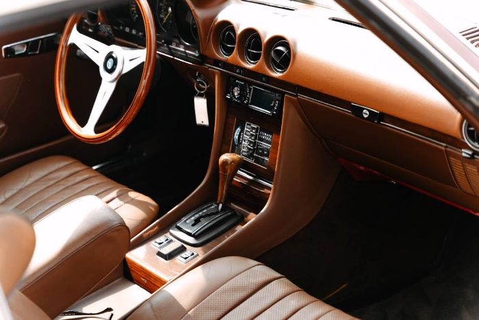 Mercedes-benz-Other-1978-Brown-5