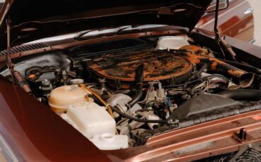 Mercedes-benz-Other-1978-Brown-6