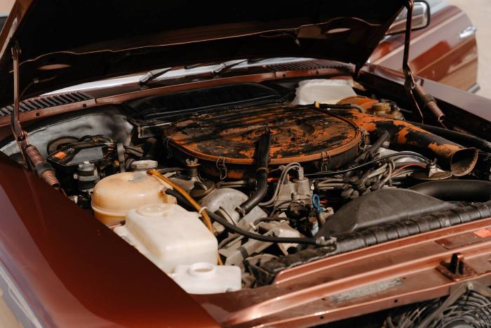 Mercedes-benz-Other-1978-Brown-6