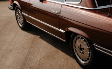 Mercedes-benz-Other-1978-Brown-8