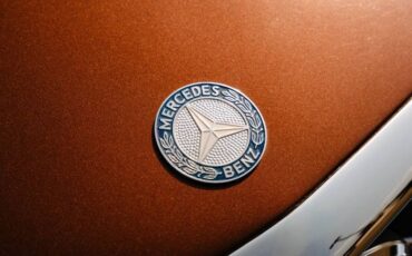 Mercedes-benz-Other-1978-Brown-9