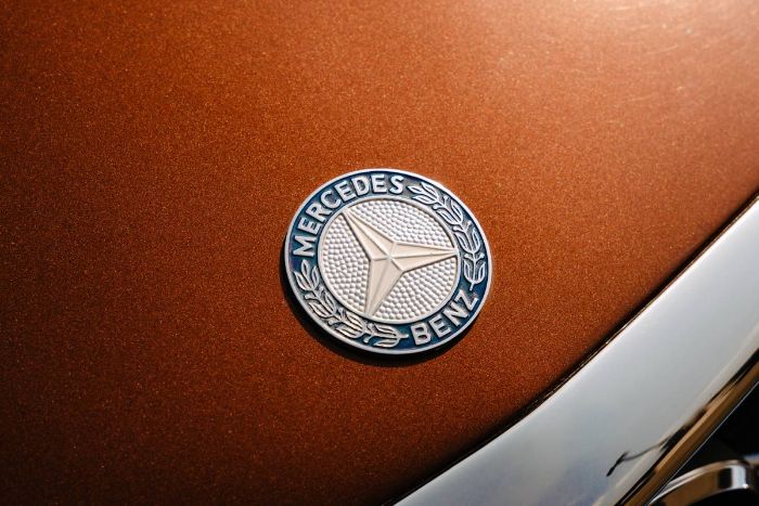 Mercedes-benz-Other-1978-Brown-9