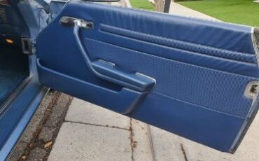 Mercedes-benz-Other-1979-Blue-24