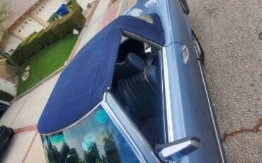 Mercedes-benz-Other-1979-Blue-7