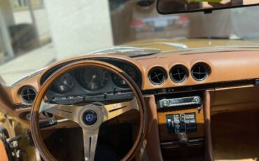 Mercedes-benz-Other-1979-Custom-10