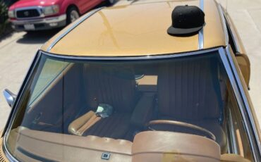 Mercedes-benz-Other-1979-Custom-19