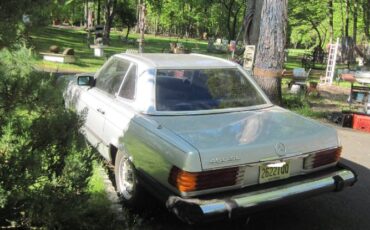 Mercedes-benz-Other-1979-Gray-2