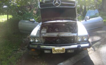 Mercedes-benz-Other-1979-Gray-3