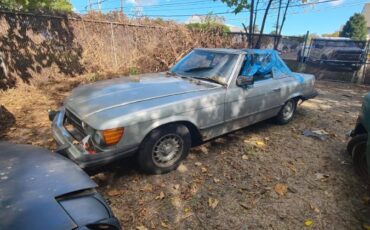 Mercedes-benz-Other-1979-Silver-Blue