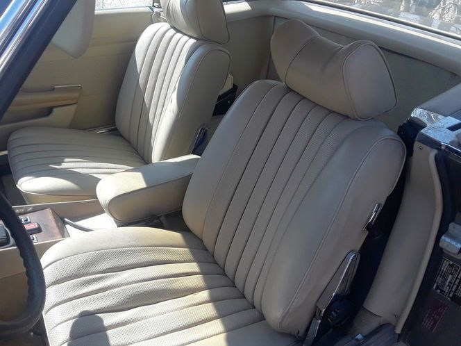 Mercedes-benz-Other-1979-Tan-1