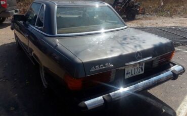Mercedes-benz-Other-1979-Tan-3
