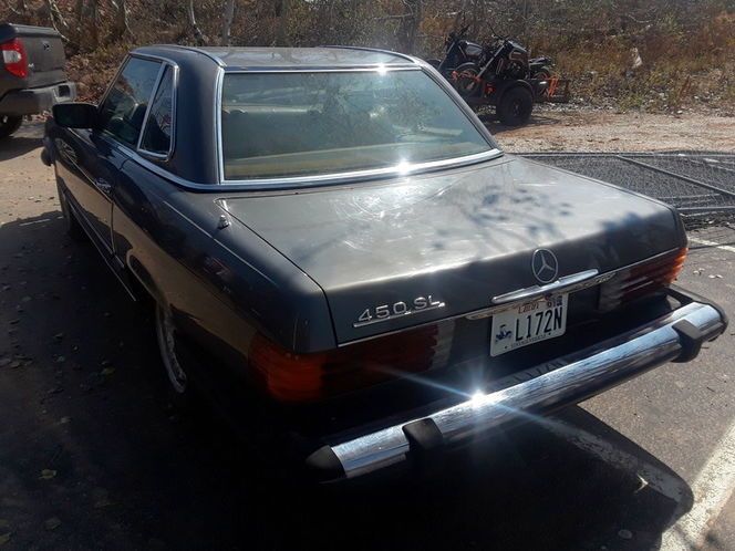 Mercedes-benz-Other-1979-Tan-3