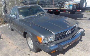 Mercedes-benz-Other-1979-Tan