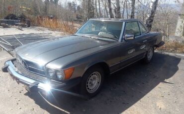 Mercedes-benz-Other-1979-Tan-5