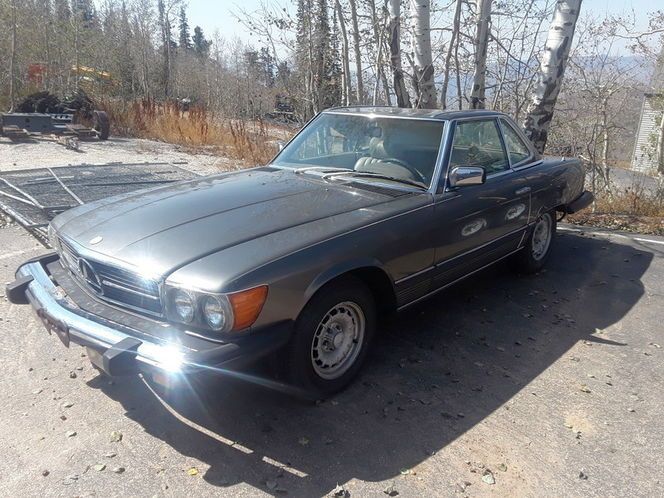 Mercedes-benz-Other-1979-Tan-5