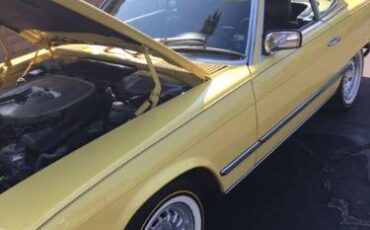 Mercedes-benz-Other-1980-Yellow-16