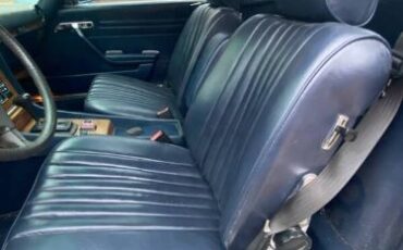 Mercedes-benz-Other-1981-Blue-Blue-1