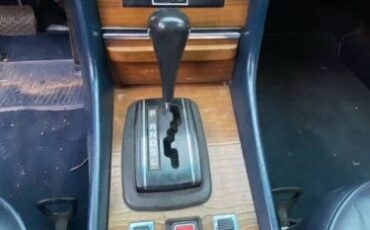Mercedes-benz-Other-1981-Blue-Blue-8