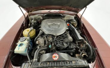 Mercedes-benz-Other-1981-Orient-Red-Tan-22
