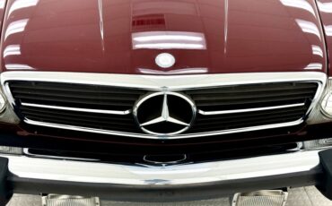 Mercedes-benz-Other-1981-Orient-Red-Tan-27
