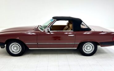 Mercedes-benz-Other-1981-Orient-Red-Tan-3