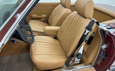 Mercedes-benz-Other-1981-Orient-Red-Tan-47