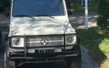 Mercedes-benz-Other-1981-White-4