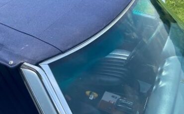 Mercedes-benz-Other-1982-Blue-Blue-4