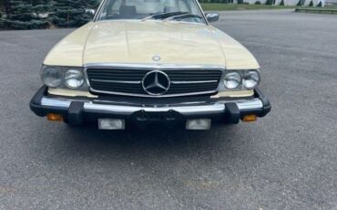 Mercedes-benz-Other-1982-Light-Ivory-Brown-leather-1