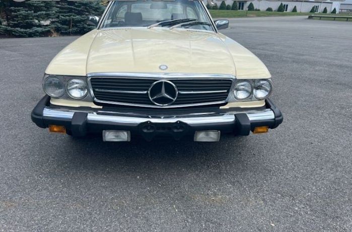 Mercedes-benz-Other-1982-Light-Ivory-Brown-leather-1