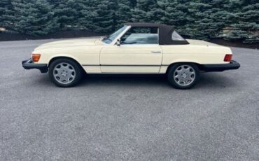 Mercedes-benz-Other-1982-Light-Ivory-Brown-leather-3