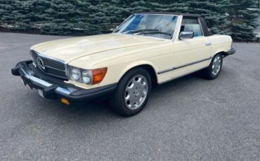 Mercedes-benz-Other-1982-Light-Ivory-Brown-leather-7