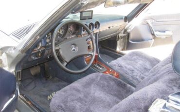 Mercedes-benz-Other-1983-Astral-Silber-Blue-Leather-9