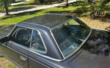 Mercedes-benz-Other-1985-Black-Black-18