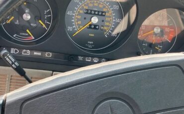 Mercedes-benz-Other-1986-Black-Pearl-Metallic-Gray-Leather-13