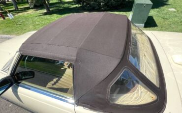 Mercedes-benz-Other-1986-Cream-Brown-13